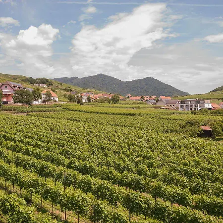 Stierschneider's Weinhotel Wachau & Wiazhaus Spitz an der Donau
