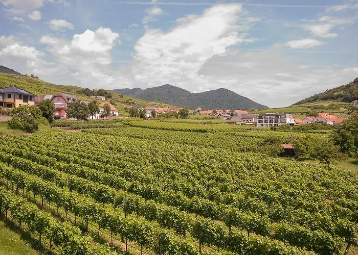 Stierschneider's Weinhotel Wachau & Wiazhaus Spitz an der Donau